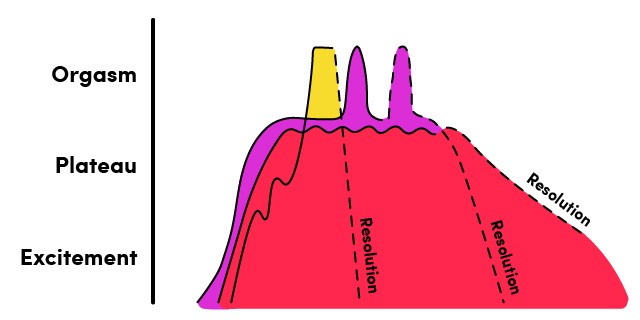 LH Pleasure Anatomy Guide_Estrogen Orgasm Pattern